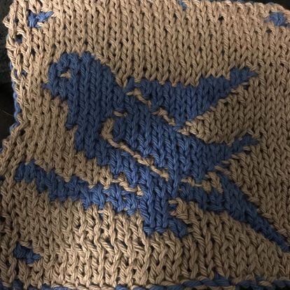 Other side of the bird dishcloth